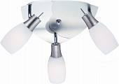 Светильник потолочный Arte Lamp арт. A4590PL-3SS